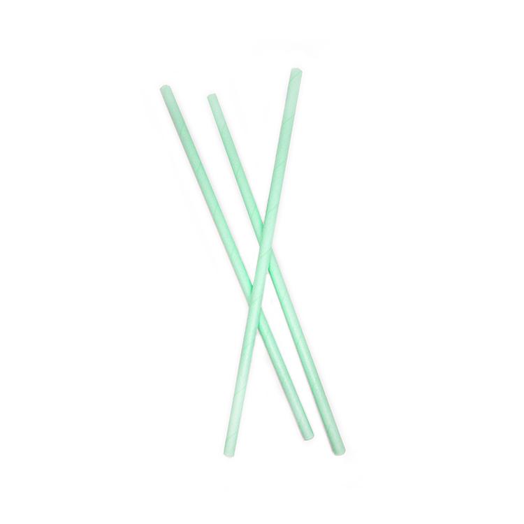 Mint Green Paper Straws - Set of 25