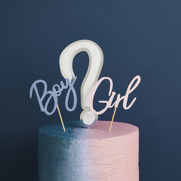 Gender Reveal Cake Topper Set