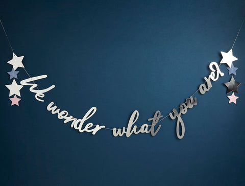 Gender Reveal Decorations in South Africa: Discover the “We Wonder What You Are” Collection