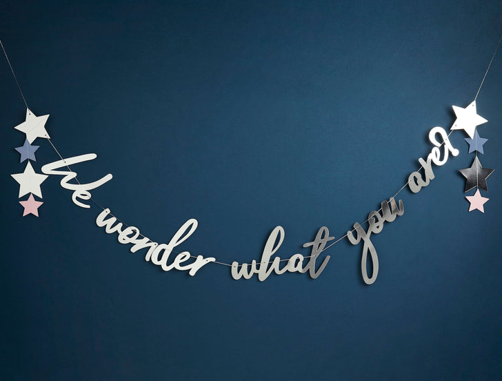 Gender Reveal Decorations in South Africa: Discover the “We Wonder What You Are” Collection