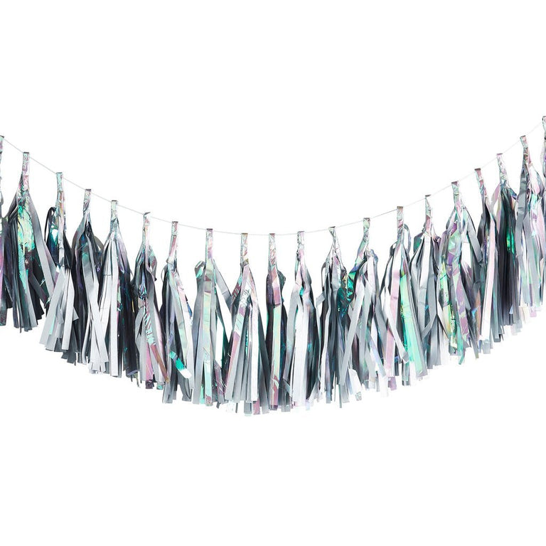 Iridescent Tassel Garland