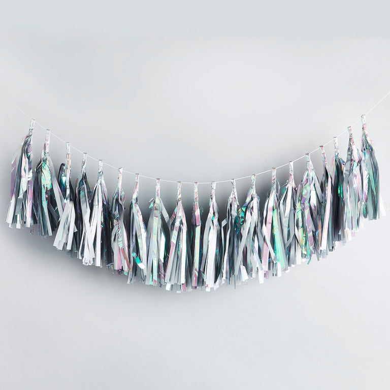 Iridescent Tassel Garland