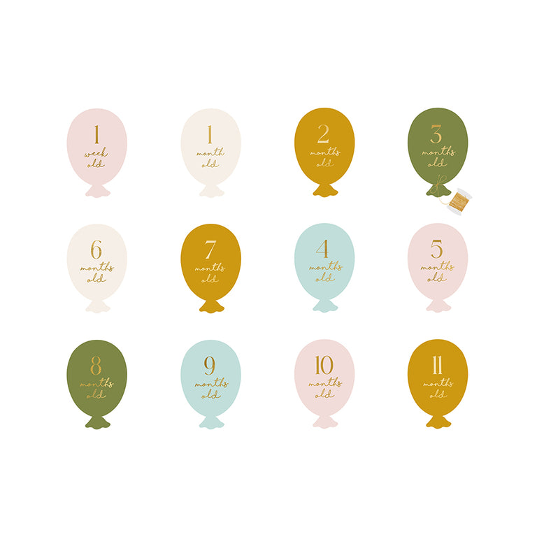 Baby Milestone Cards