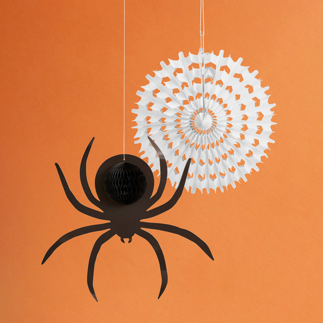 Spider Web and Spider Honeycomb Set